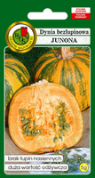 Shell-less common pumpkin JUNONA 5g (Cucurbita pepo)