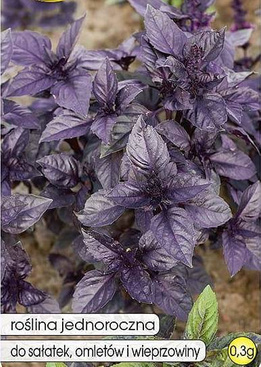 Red basil 0.3g (Ocimum basilicum)