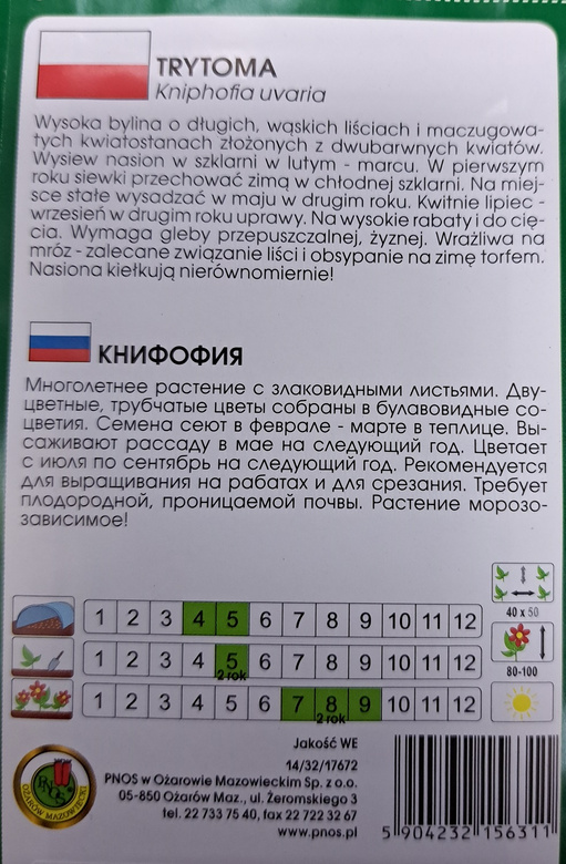 Tritoma 0.5g (Kniphofia uvaria)