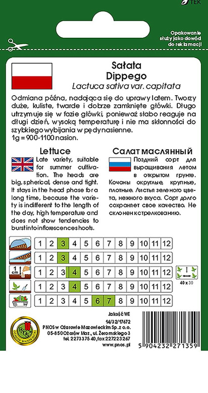 Butterhead lettuce DIPPEGO 1g (Lactuca sativa var.capitata)