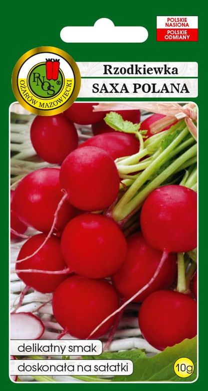 Radish SAXA POLANA 10g (Raphanus sativus var. sativus)