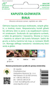 Kapusta głowiasta biała stożkowa CUOR DI BUE GROSSO 1g  (Brassica oleracea var. capitata alba)