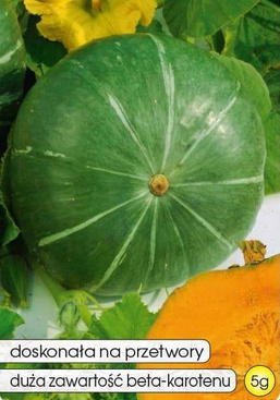 Dynia olbrzymia AMBAR 5g (Cucurbita maxima)