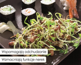 Sprouting Seeds ADZUKI BEANS 20g