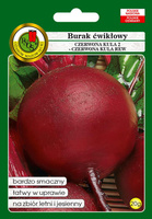 Burak ćwikłowy CZERWONA KULA 2 - CZERWONA KULA REW 20g  (Beta vulgaris)