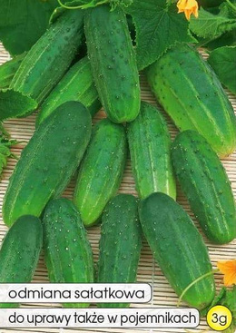 Field cucumber DAR 3g (Cucumis sativus)