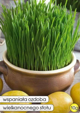 Easter oats 10g (Avena sativa)