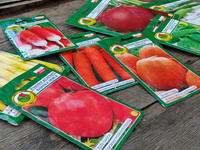 Duży zestaw nasion do wysiewu warzyw dla Preppersa - BANK NASION