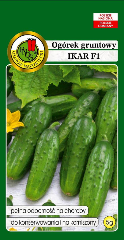 Ogórek gruntowy IKAR F1 5g (Cucumis sativus)