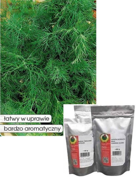 Garden Dill EMERALD 500g (Anethum graveolens)