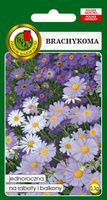 Brachycome mix of colors 0.3g (Brachycome iberidifolia)