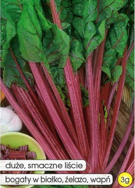 Burak liściowy RHUBARB CHARD 3g (Beta vulgaris sub. cicia)