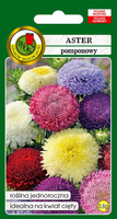 Pompon Aster Mixed Colors 0.8g (Callistephus chinensis fl. pl.)