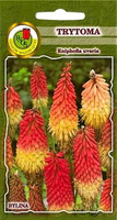 Trytoma 0,5g (Kniphofia uvaria)
