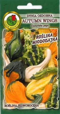 Decorative pumpkin AUTUMN WINGS mix of varieties 1g (Cucurbita pepo)