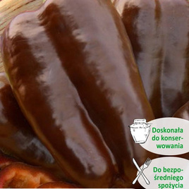 Sweet pepper SWEET CHOCOLATE 0.5g (Capsicum annuum)