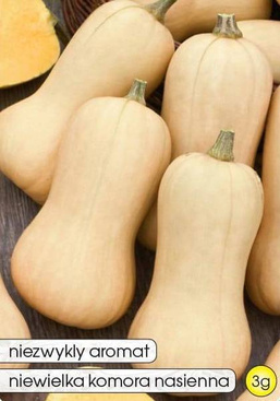 Butternut squash 3g (Cucurbita moschata)