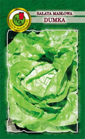Butterhead lettuce DUMKA 1g (Lactuca sativa var.capitata)