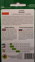 Sałata głowiasta masłowa DUMKA 1g (Lactuca sativa var.capitata)