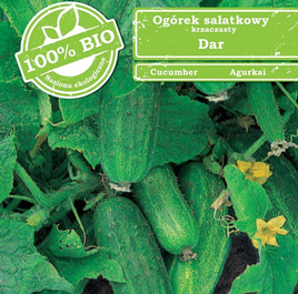 Ogórek gruntowy sałatkowy DAR 2g BIO (Cucumis sativus)