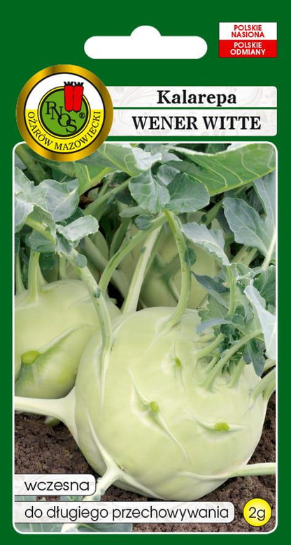 Kohlrabi WENER WITTE 2g (Brassica oleracea var. gongylodes)