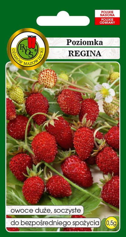 REGINA Strawberry 0.5g (Fragaria vesca)