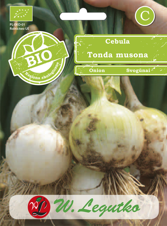 Cebula zimująca TONDA MUSONA 2g BIO (Allium cepa grupa Cepa)