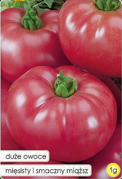 Ground tomato FAWORYT - FAWORYT OŻA 1g (Solanum lycopersicum L.)