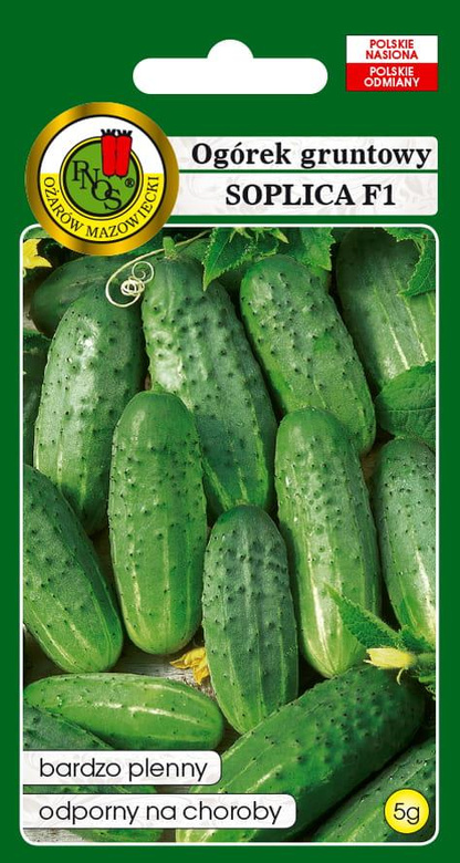 Field cucumber SOPLICA F1 5g (Cucumis sativus)