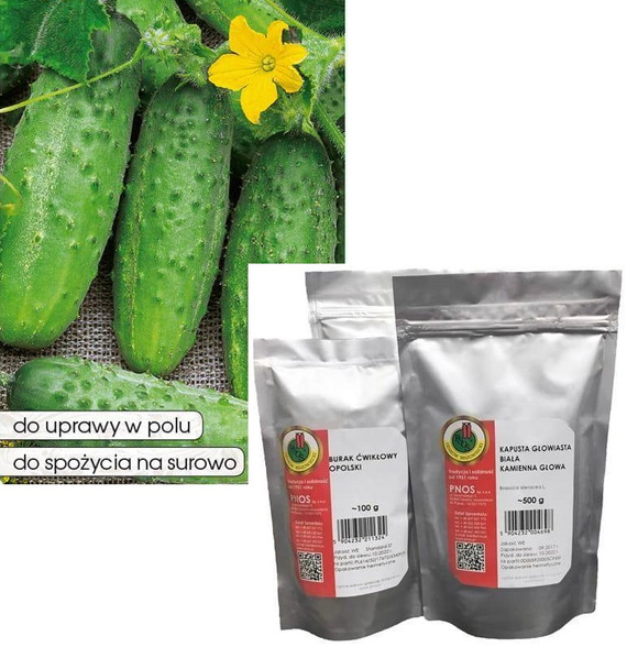 Field cucumber KRAK F1 50g (Cucumis sativus)