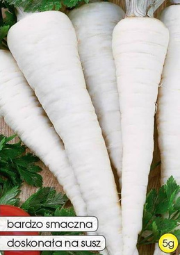 OSBORNE Root Parsley 5g (Petroselinum crispum convar. radicosum)