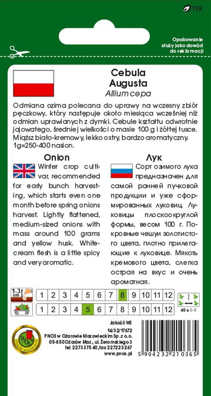 Winter onion AUGUSTA 5g (Allium cepa)