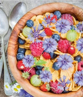 Blue cornflower 1g (Edible flowers) (Centaurea cyanus)