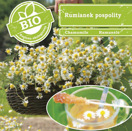 Common chamomile 0.1g BIO (Matricaria chamomilla)