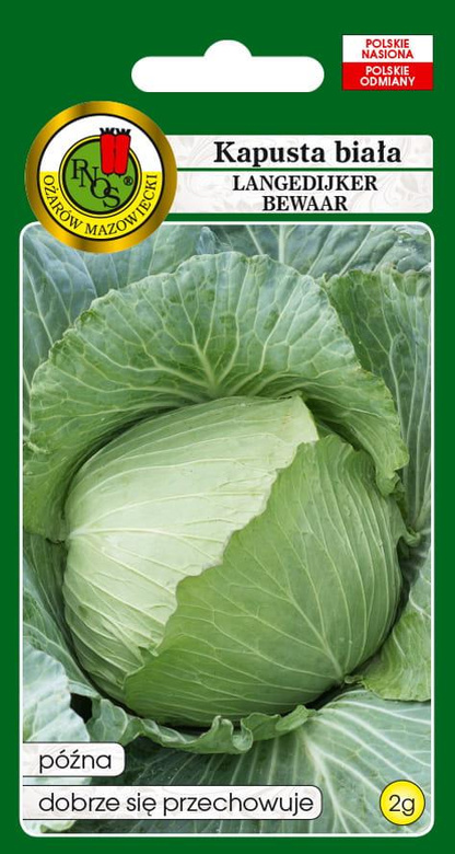 Kapusta głowiasta biała LANGEDIJKER BEWAAR 2g (Brassica oleracea var. capitata alba)