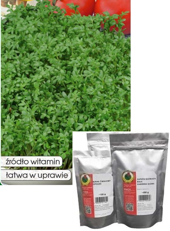 Rzeżucha ogrodowa 500g (Lepidium sativum)