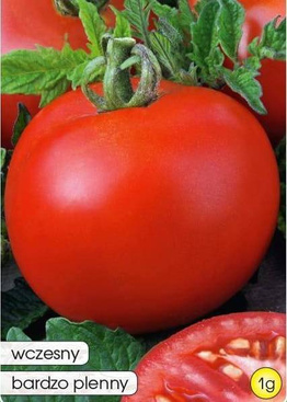 Pomidor gruntowy JAWOR 1g (Solanum lycopersicum L.)