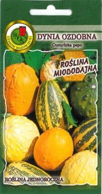 Decorative pumpkin mix 2g (Cucurbita pepo)