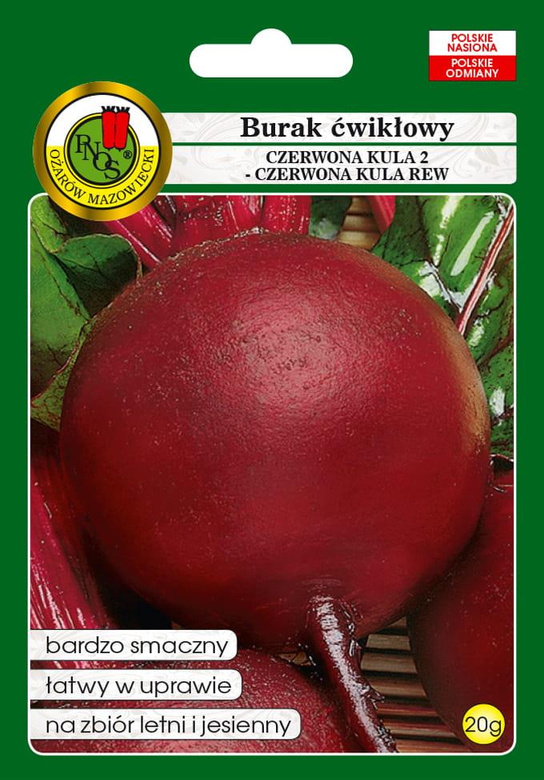 Burak ćwikłowy CZERWONA KULA 2 - CZERWONA KULA REW 20g  (Beta vulgaris)