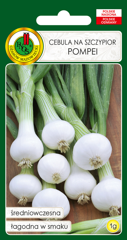 POMPEI 1g Onion Chives (Allium cepa)