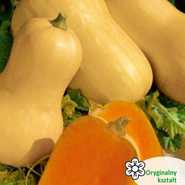 Butternut Squash 2g (Cucurbita moschata)