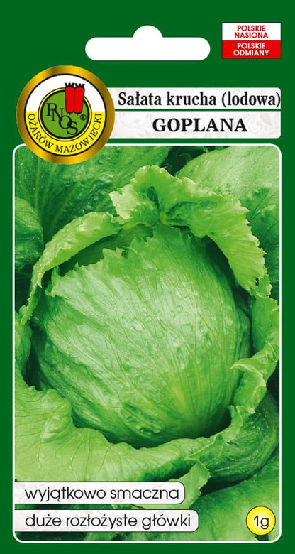 Crisphead lettuce GOPLANA 1g (Lactuca sativa var.capitata)