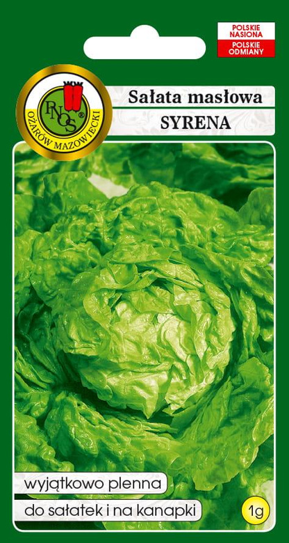 Butterhead lettuce SYRENA 1g (Lactuca sativa var. capitata)