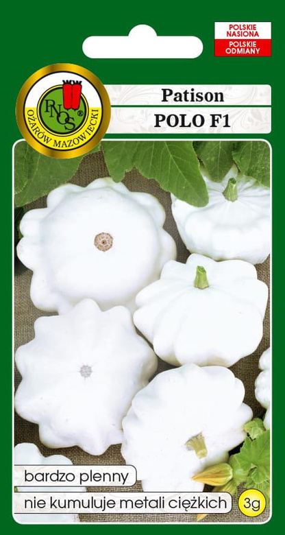 Pattypan squash POLO F1 3g (Cucurbita pepo)