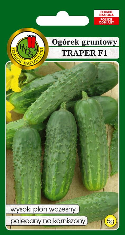 Ogórek gruntowy TRAPER F1 5g (Cucumis sativus)