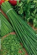 Szczypiorek FORTEL 2g (Allium schoenoprasum)