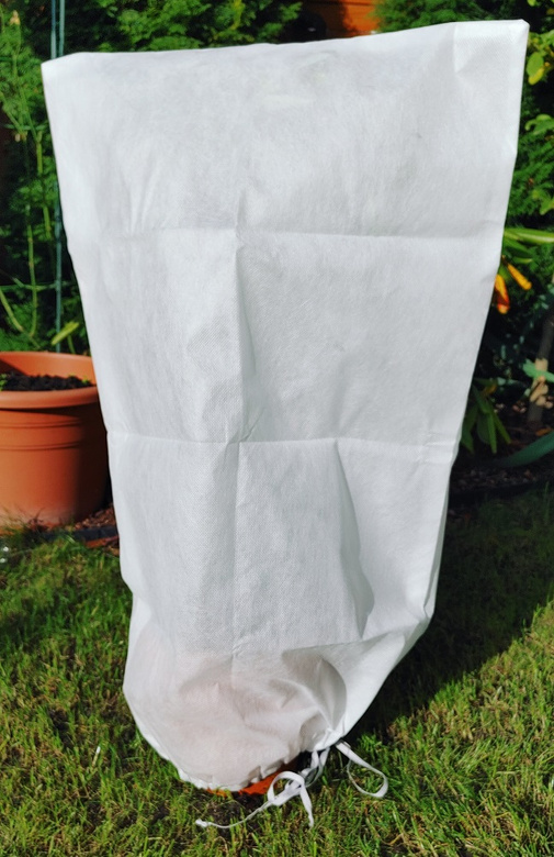 Protective hood with white securing string.