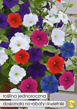 Petunia zwieszająca się mix 0,1g (Petunia pendula)