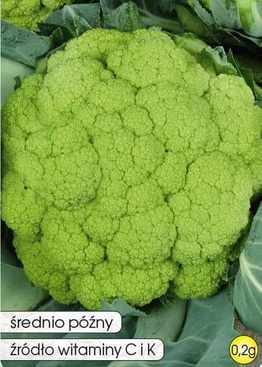 Cauliflower VERDE DI MACERATA 0.2g (Brassica oleracea convar. botrytis)