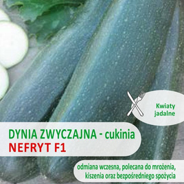 Cukinia Dynia zwyczajna NEFRYT F1 3g (Cucurbita pepo)